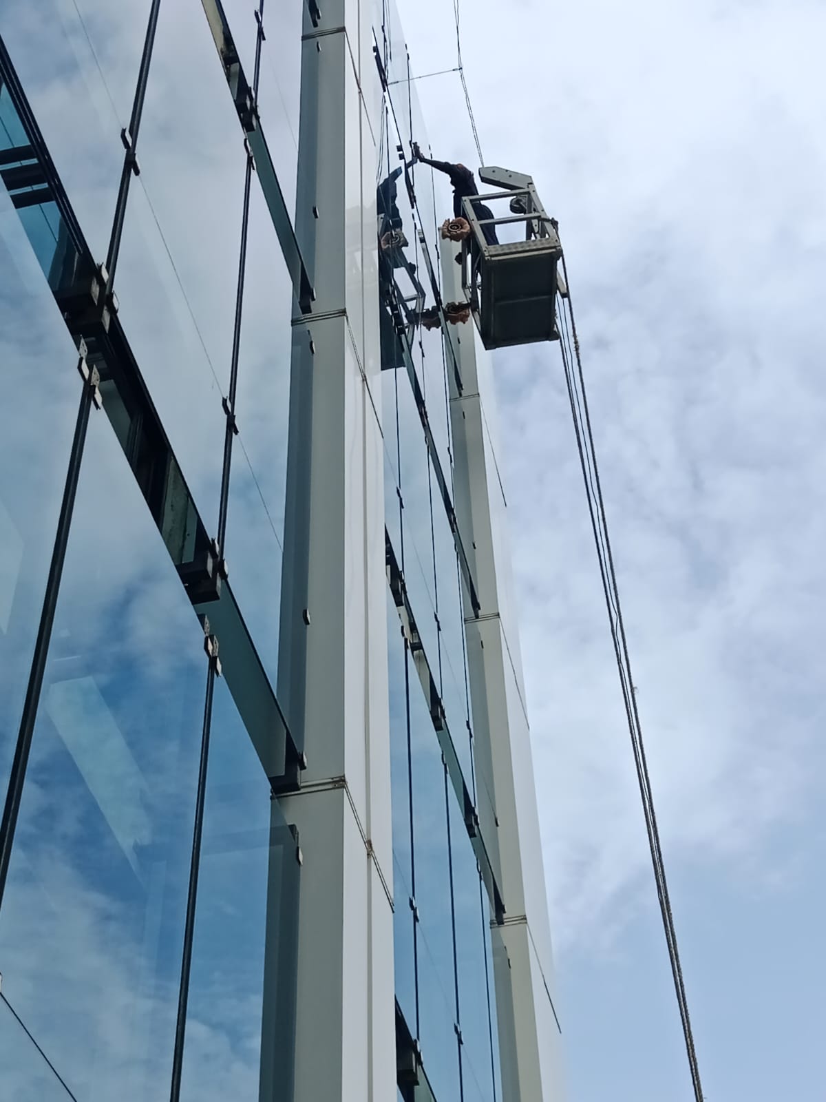 Window Cleaning